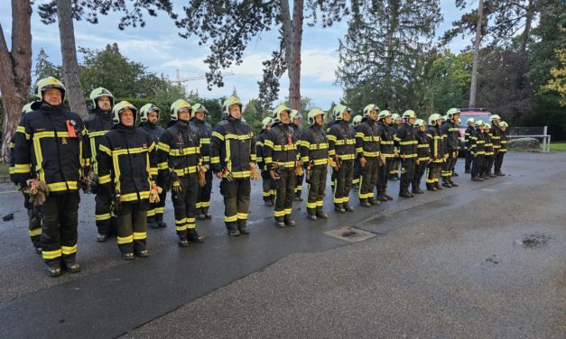 23.09.2024 Exercice de sections